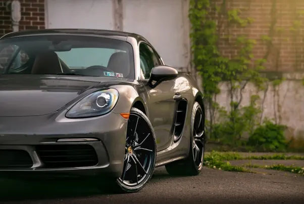 カジノ スピン パグ Android/iOS アプリ